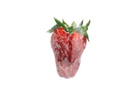 freshly picked large red strawberries in trays png