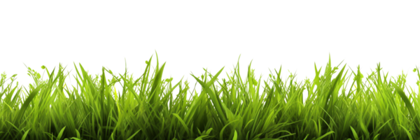 ai generiert Grün Gras auf ein transparent Hintergrund png