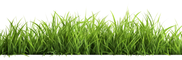 ai generiert Grün Gras auf ein transparent Hintergrund png