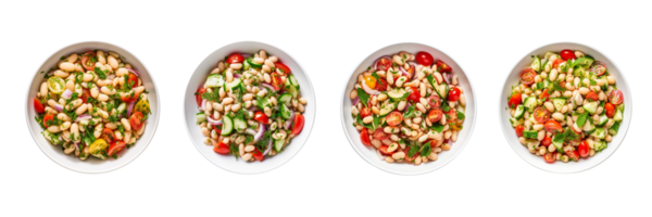 ai gerado uma conjunto do quatro pratos com diferente tipos do salada png