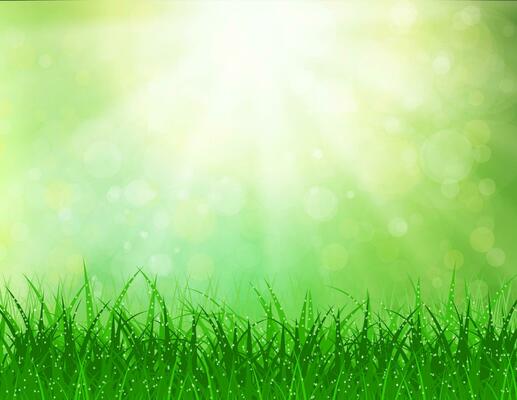 Beautiful Spring background