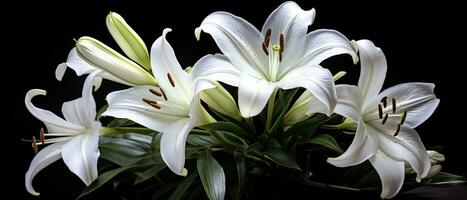 AI generated White lily flowers on black background. AI Generated photo