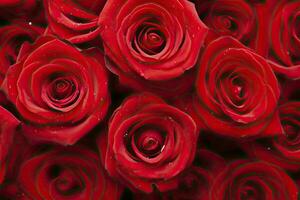 ai generado rojo Rosa antecedentes para San Valentín día. ai generado foto
