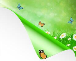 Spring background with sky, flowers, grass vector