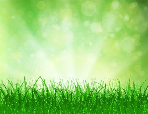 Beautiful Spring background