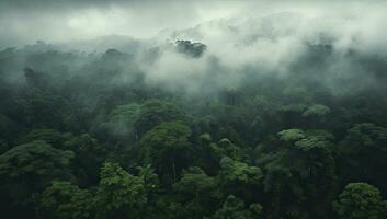 AI generated Beautiful scenery of green tree forest enveloped in fog photo