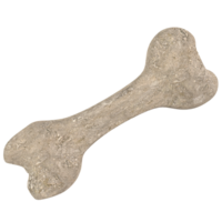 chien OS isolé objet png