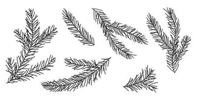 A set of Christmas tree branches drawn in doodle style. vector