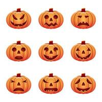 set of isolated pumpkins on white background. vector