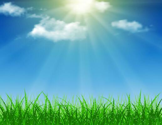 Beautiful Spring background