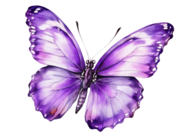 ai généré violet violet magnifique papillon dessin aquarelle agrafe art illustration png