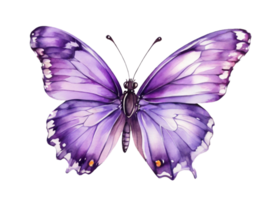 ai generado púrpura Violeta hermosa mariposa dibujo acuarela acortar Arte ilustración png