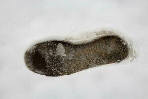 Big boot footprint in fresh wet white snow showing transparent dark ice and some frozen grass under it photo