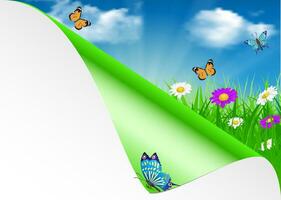 Spring background with sky, flowers, grass vector