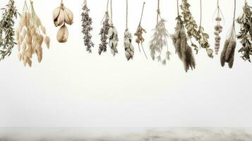 AI generated a row of dried plants hanging upside down against a white background. photo