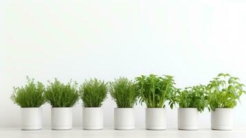 AI generated a row of potted plants, herbs, on a white background. photo
