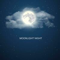 Night sky background vector