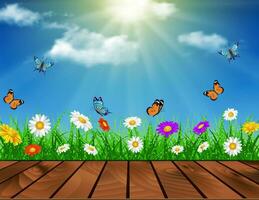 daisy vector background summer design