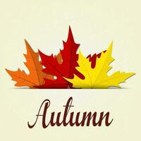 autumn background with leaves vector