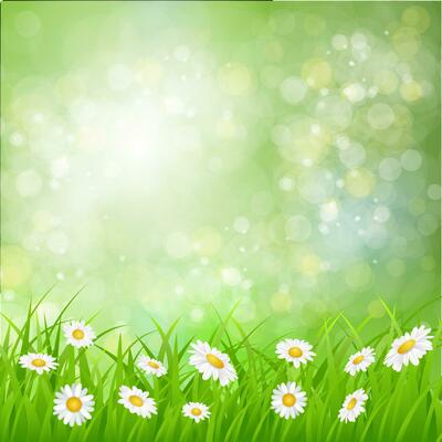 daisy vector background summer design