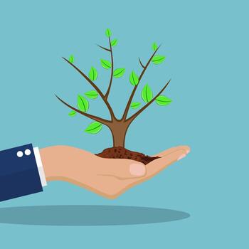 Tree in hand. vector