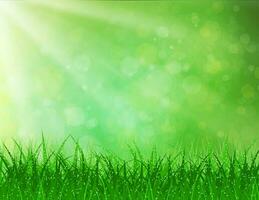 Beautiful Spring background vector