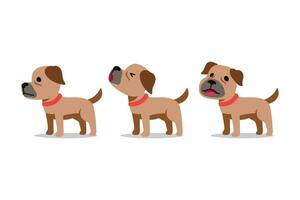 Set of vector cartoon character dog poses