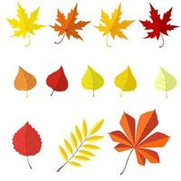 Set of colorful autumn leaves. vector