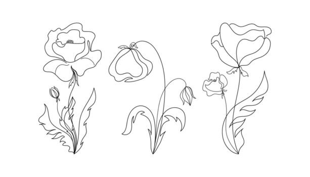 Continuous line drawing of various abstract poppies. Sketch of flower set. Botanical minimalist art. Memory symbol. Vector illustration in one line.