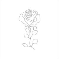 Rose one continuous line drawing. Floral flower natural design. Graphic, sketch drawing. rose vector