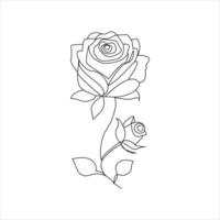 Rosa uno continuo línea dibujo. floral flor natural diseño. gráfico, bosquejo dibujo. Rosa vector