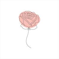 Rose one continuous line drawing. Floral flower natural design. Graphic, sketch drawing. rose vector