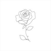 Rose one continuous line drawing. Floral flower natural design. Graphic, sketch drawing. rose vector