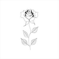 Rosa uno continuo línea dibujo. floral flor natural diseño. gráfico, bosquejo dibujo. Rosa vector