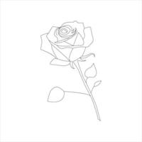 Rosa uno continuo línea dibujo. floral flor natural diseño. gráfico, bosquejo dibujo. Rosa vector