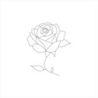 Rosa uno continuo línea dibujo. floral flor natural diseño. gráfico, bosquejo dibujo. Rosa vector