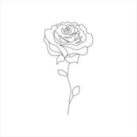 Rosa uno continuo línea dibujo. floral flor natural diseño. gráfico, bosquejo dibujo. Rosa vector