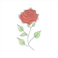 Rosa uno continuo línea dibujo. floral flor natural diseño. gráfico, bosquejo dibujo. Rosa vector