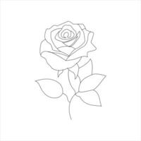 Rosa uno continuo línea dibujo. floral flor natural diseño. gráfico, bosquejo dibujo. Rosa vector