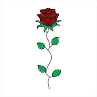 Rose one continuous line drawing. Floral flower natural design. Graphic, sketch drawing. rose vector