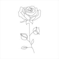 Rosa uno continuo línea dibujo. floral flor natural diseño. gráfico, bosquejo dibujo. Rosa vector