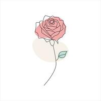 Rose one continuous line drawing. Floral flower natural design. Graphic, sketch drawing. rose vector