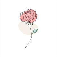 Rose one continuous line drawing. Floral flower natural design. Graphic, sketch drawing. rose vector