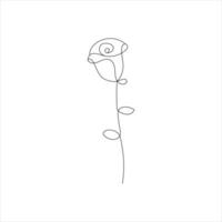 Rose one continuous line drawing. Floral flower natural design. Graphic, sketch drawing. rose vector