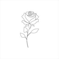 Rosa uno continuo línea dibujo. floral flor natural diseño. gráfico, bosquejo dibujo. Rosa vector