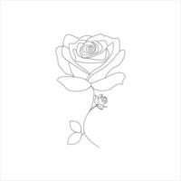 Rosa uno continuo línea dibujo. floral flor natural diseño. gráfico, bosquejo dibujo. Rosa vector