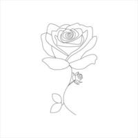 Rosa uno continuo línea dibujo. floral flor natural diseño. gráfico, bosquejo dibujo. Rosa vector