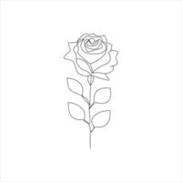 Rosa uno continuo línea dibujo. floral flor natural diseño. gráfico, bosquejo dibujo. Rosa vector