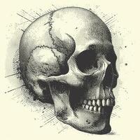 AI generated Halftone Human Skull Illustration photo