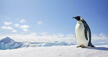 AI generated Penguin standing in Antarctica looking into the blue sky. AI Generated photo